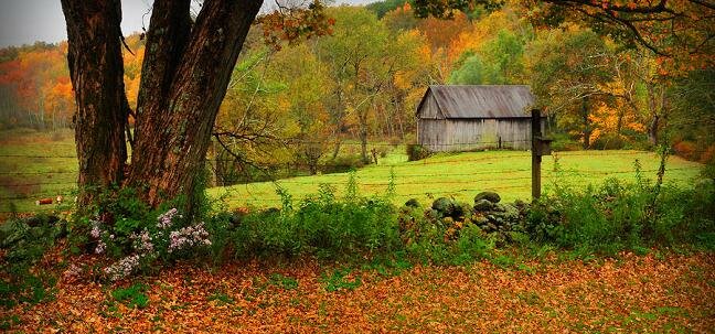 connecticut farmland