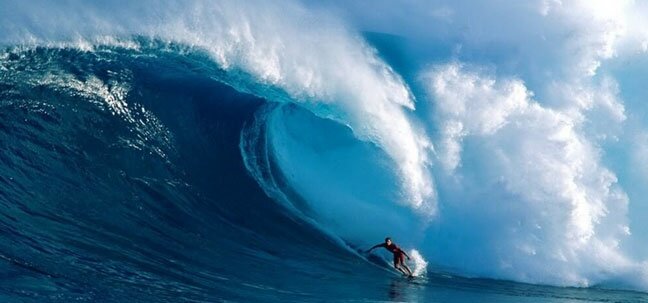 hawaii surf's up
