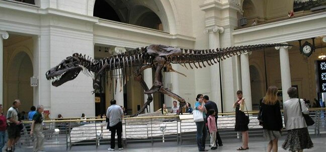 illinois chicago muesum