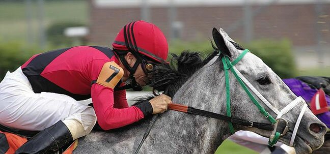 kentucky racing with horses