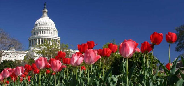 maryland capital 