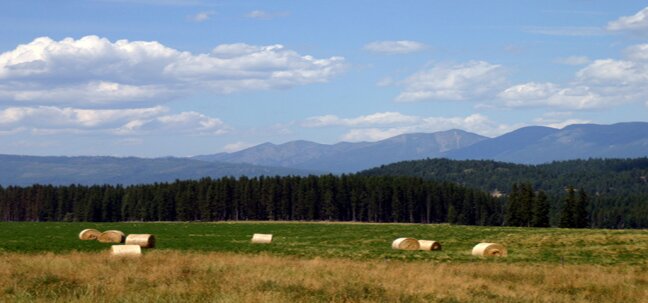 montana woodlands into mountains
