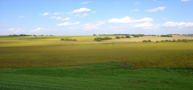nebraska greenfields in the summer