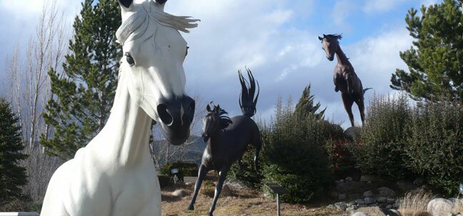 new mexico running horses