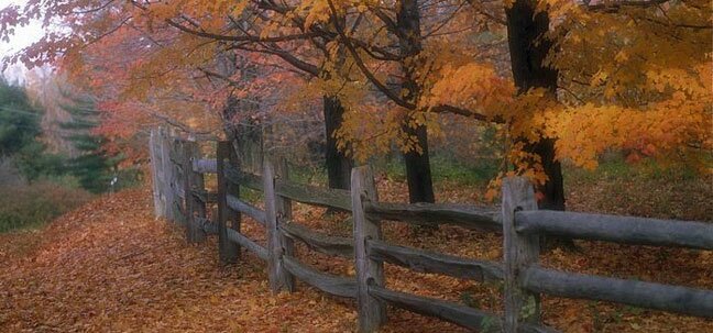 ohio classic fence