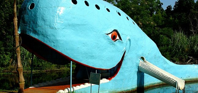 oklahoma golfing whale
