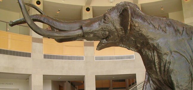 oklahoma museum elephant