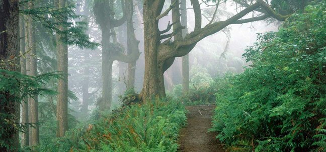 oregon trails